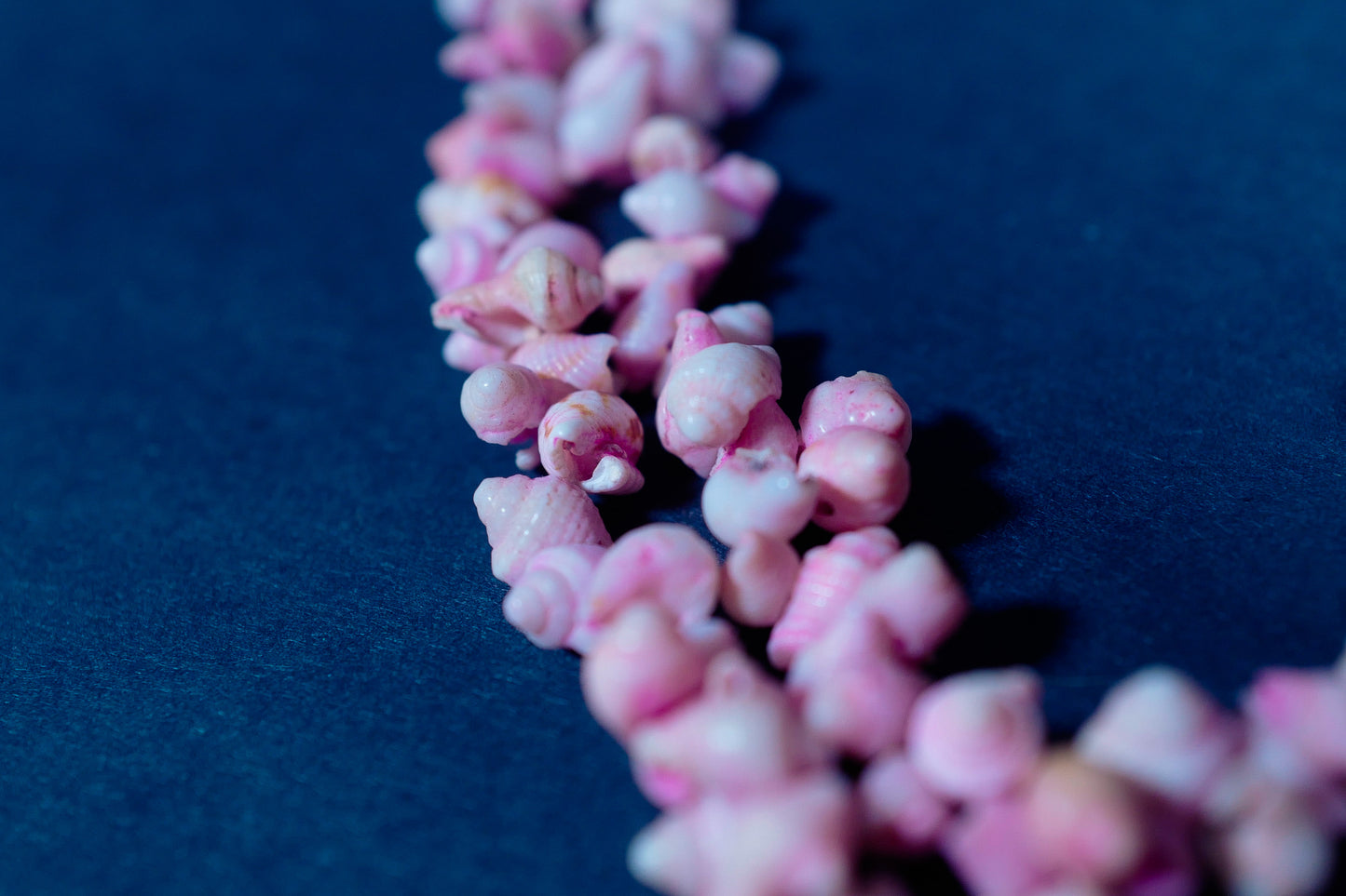 Vintage Layered Seashell Necklace